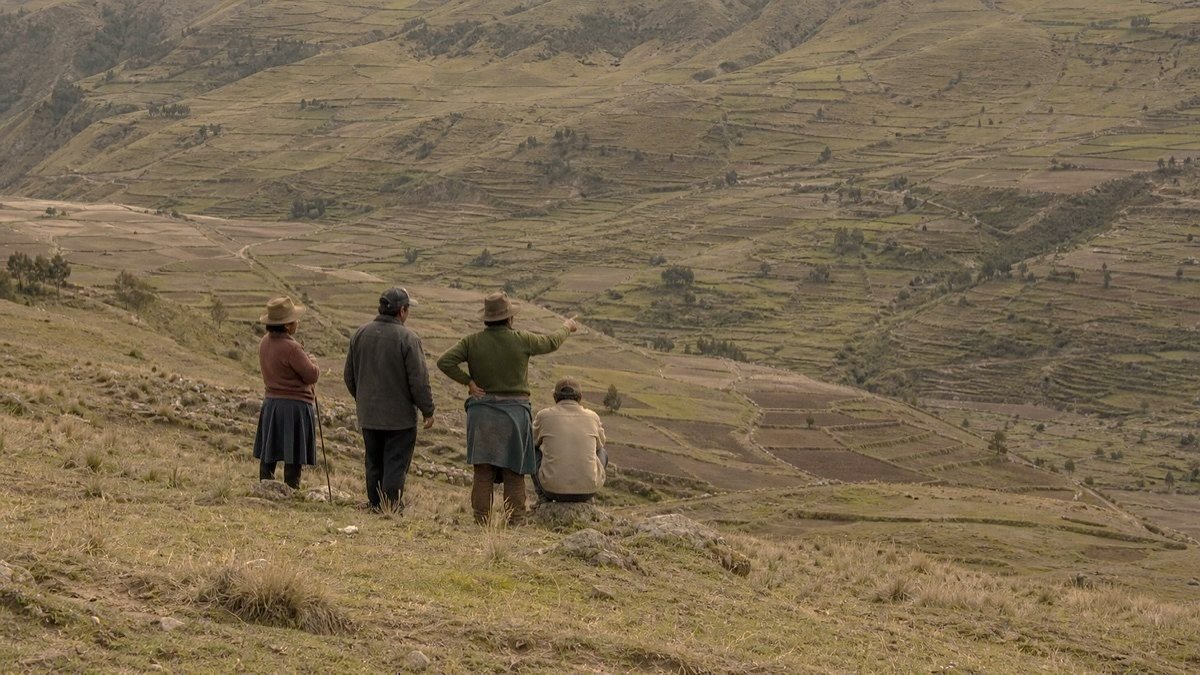 People looking out over a cultivated Andean valley